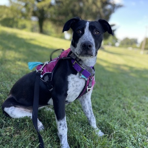 Fundraising Page: Miley PAC Alum